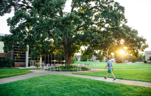 A student walks by the Oak Tree at sunset